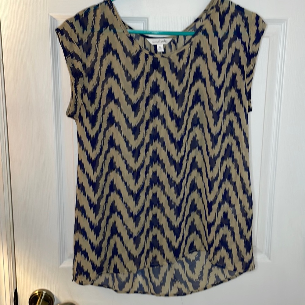 Blue and tan blouse